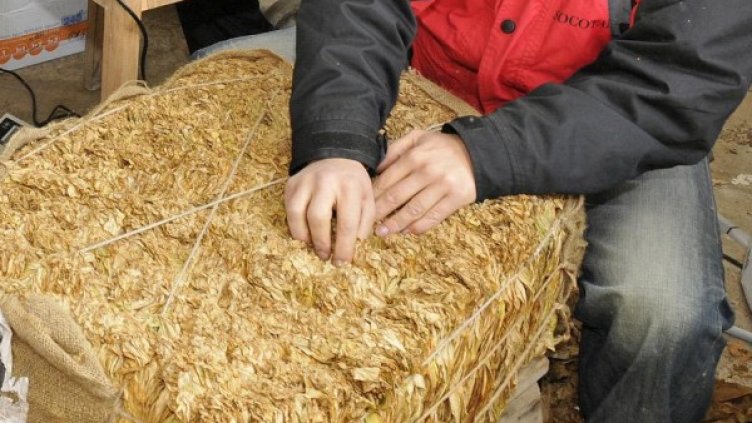 Снимка: Булфото, архив