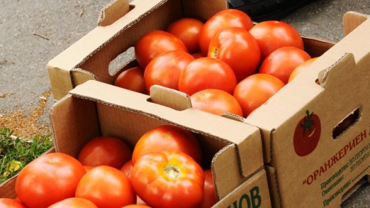 Снимка: Булфото, архив