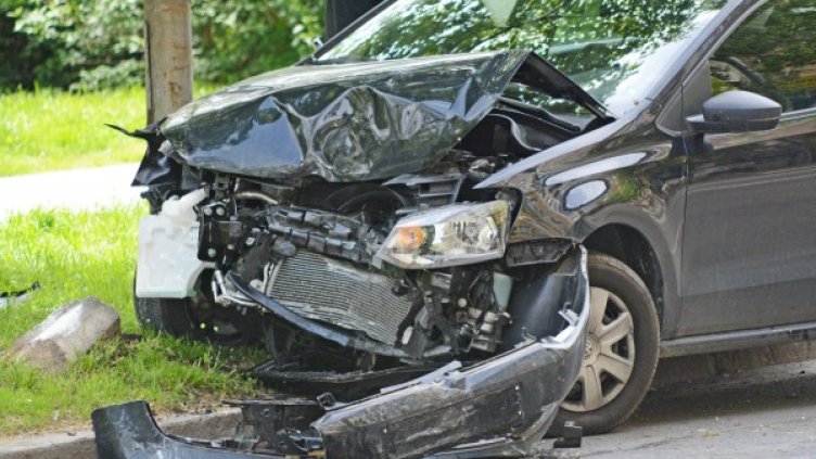 Снимка: Булфото