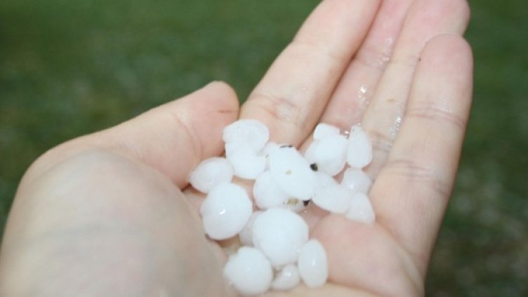 Снимка: Булфото, архив