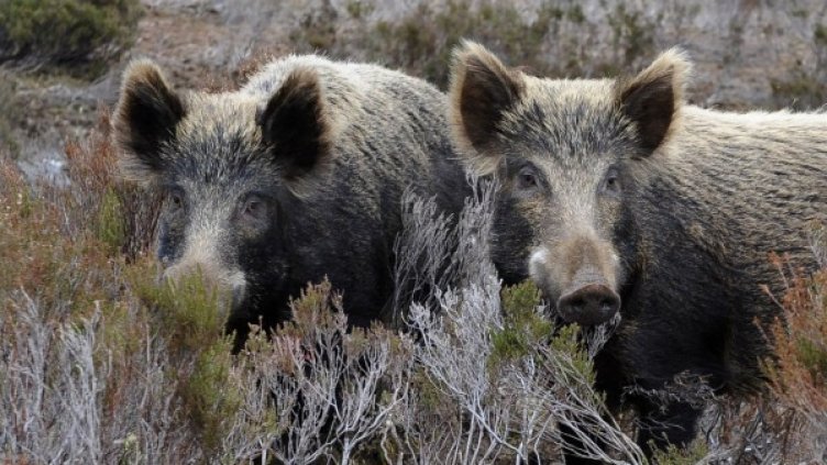 Снимка: архив, Ройтерс