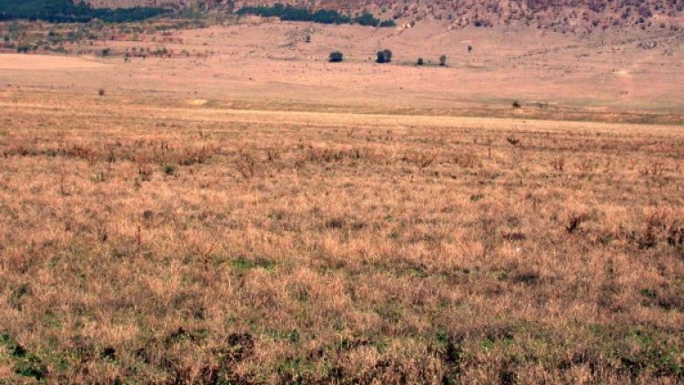 Снимка: архив,  Булфото