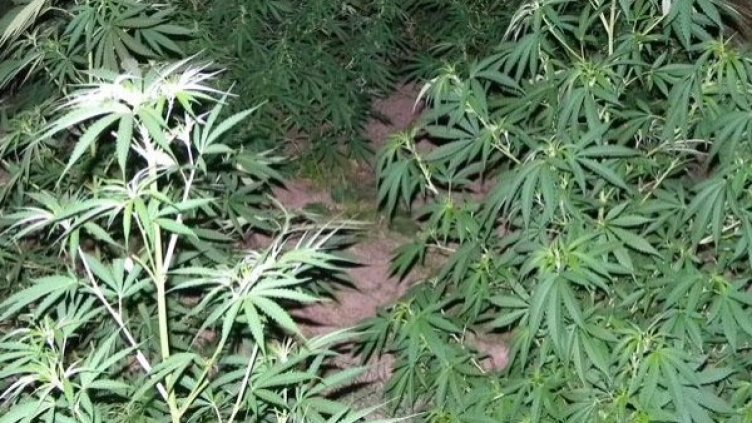 Снимка: архив, Булфото