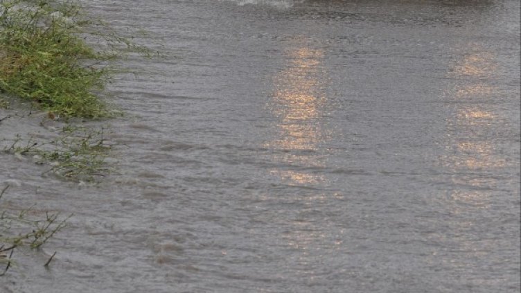 Снимка: архив, Булфото