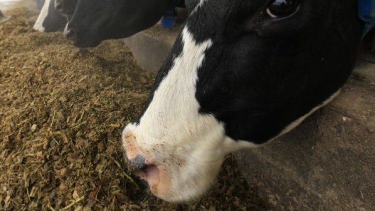 Снимка Reuters