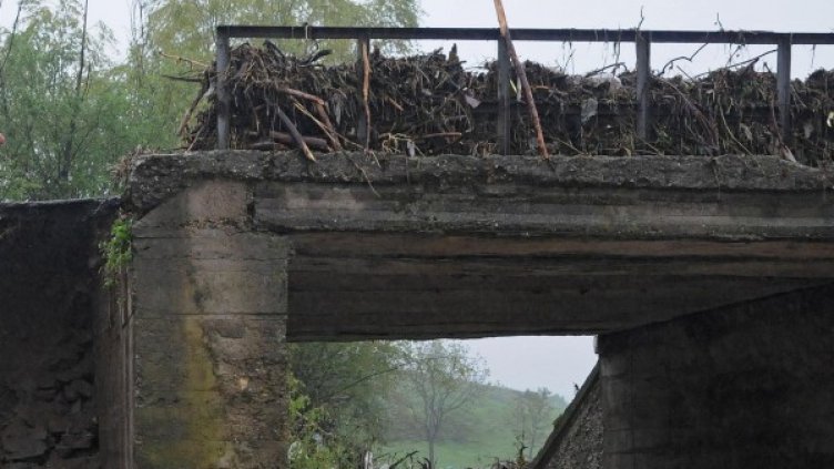 Снимка: Булфото, архив