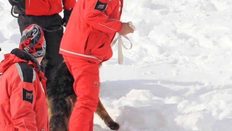 Снимка: архив, БулФото