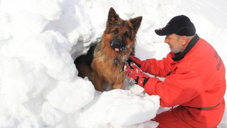 Снимка: Булфото, архив