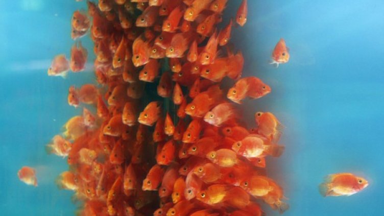 Снимка: Reuters