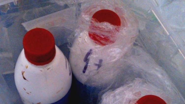 Снимка: Агенция "Митници"