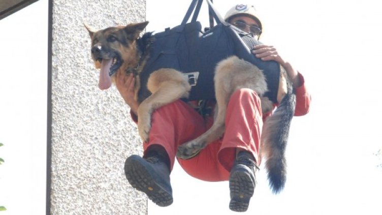 Снимка: Булфото, архив