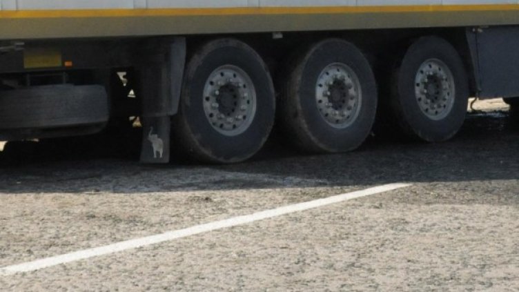 Снимка, архив: Булфото