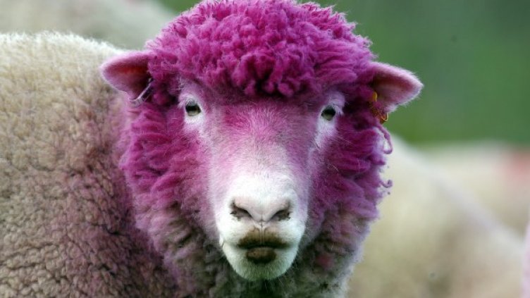 Снимка: Reuters