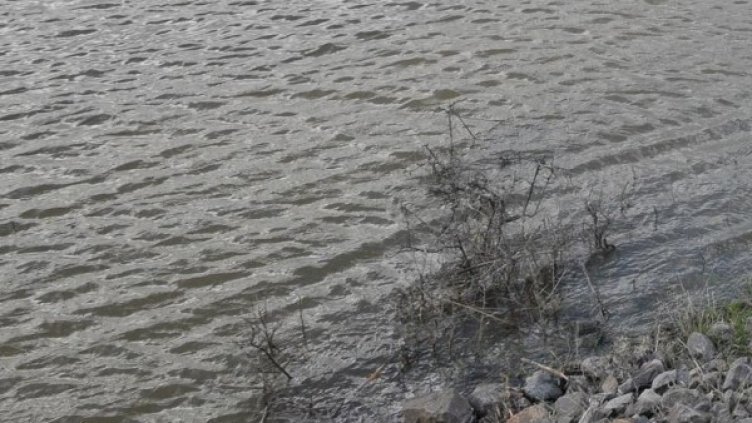 Снимка, архив: Булфото