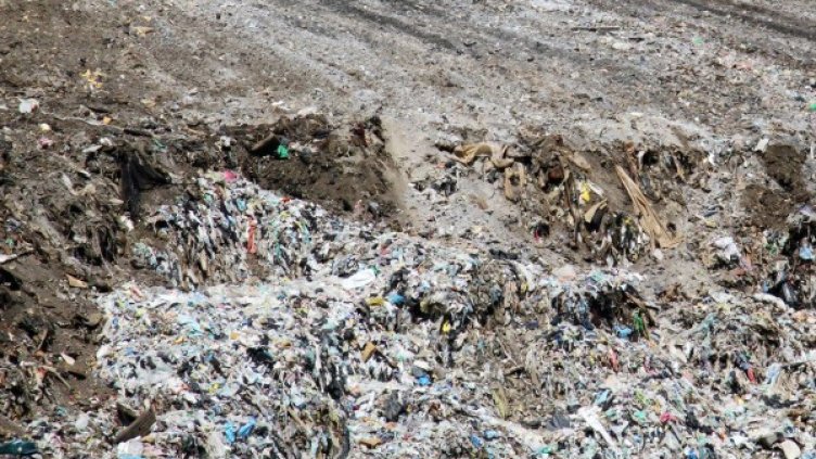 Снимка: архив Булфото