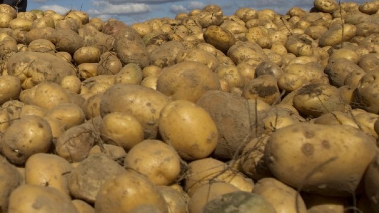 Снимка: архив, Ройтерс