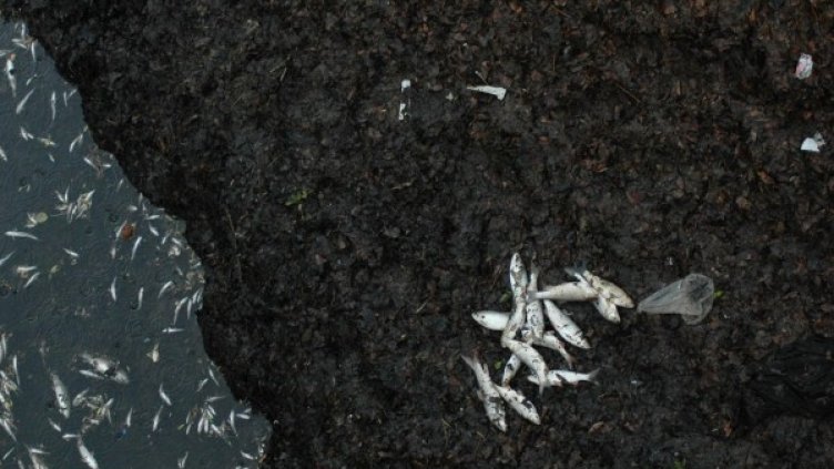 Снимка: Булфото, архив