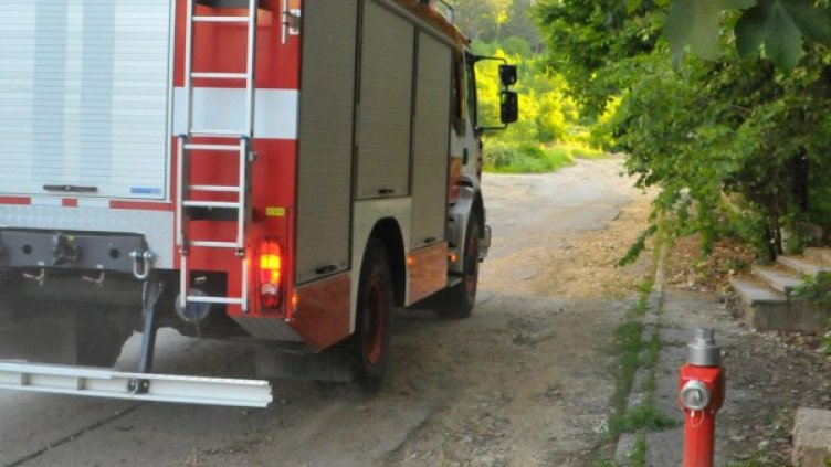 Снимка: Булфото, архив