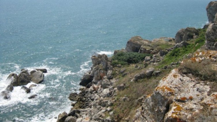 Снимка, архив Булфото