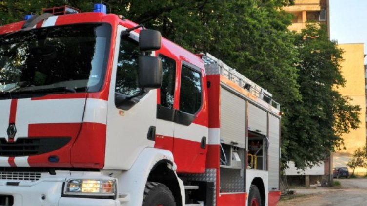 Снимка: Булфото, архив