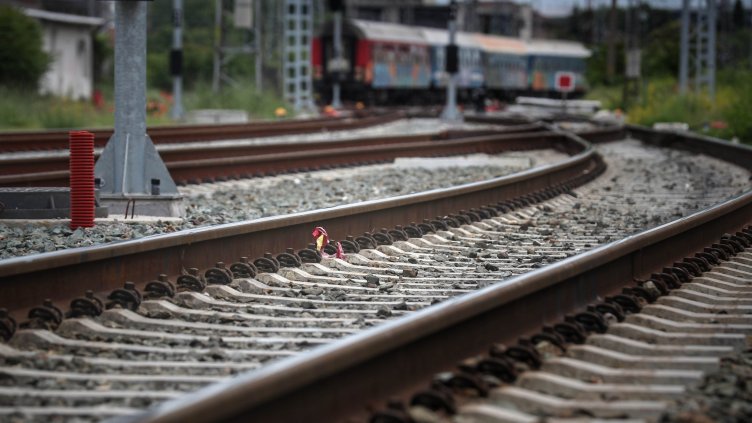 Снимка: Димитър Кьосемарлиев, Dnes.bg