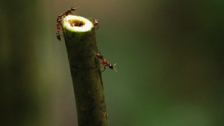 Снимка: Reuters