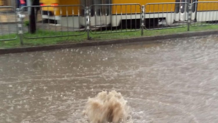 Снимка: Булфото