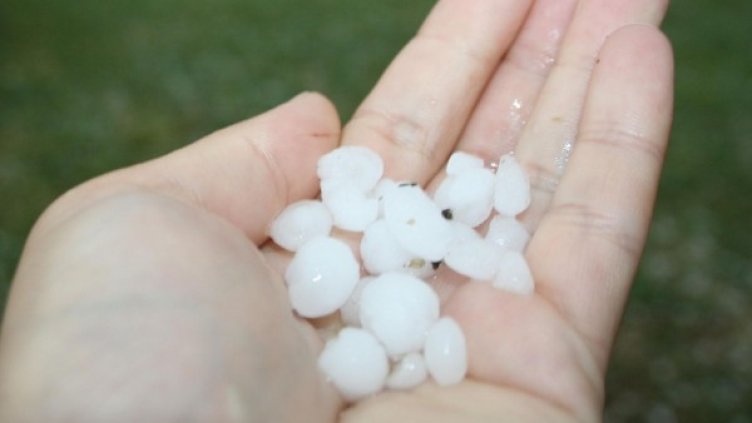 Снимка: Булфото, архив