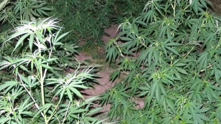 Снимка: архив, Булфото