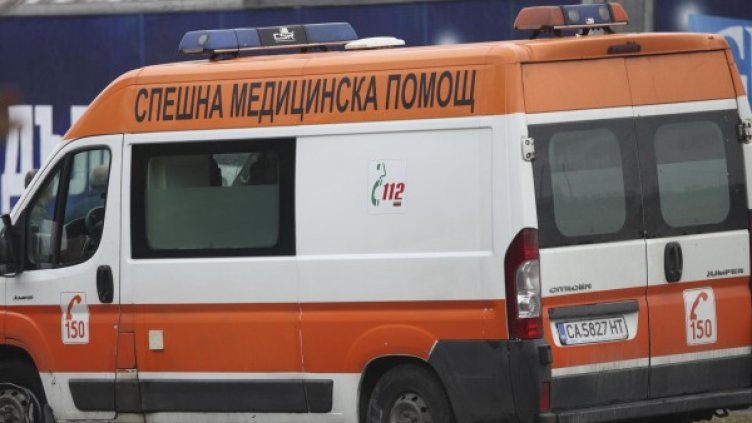 Снимка: Архив Булфото