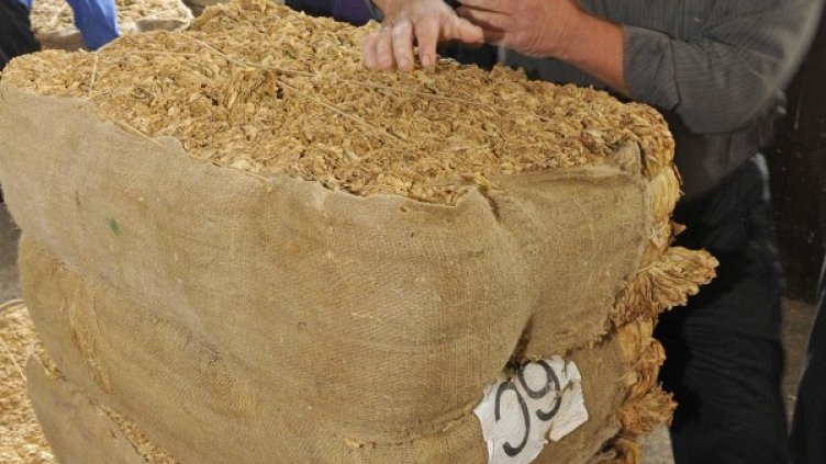 Снимка: Булфото, архив