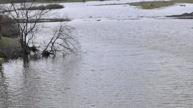 Снимка: архив, Булфото