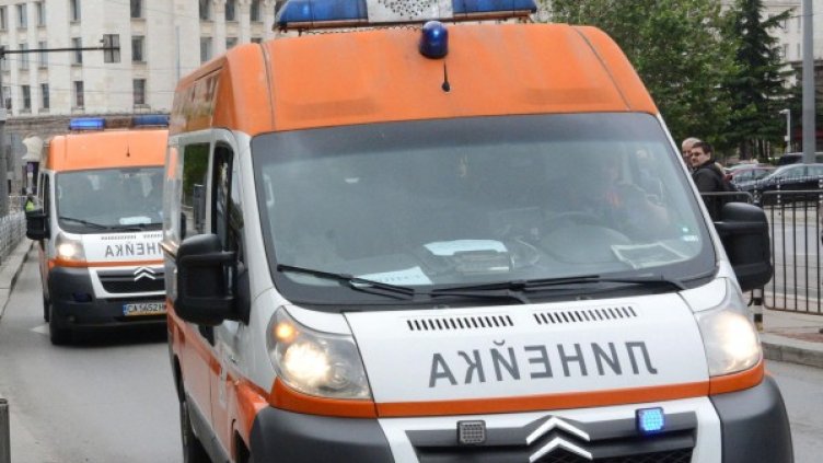 Снимка: Булфото, архив