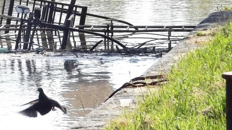 Дунав. Снимка: архив Булфото