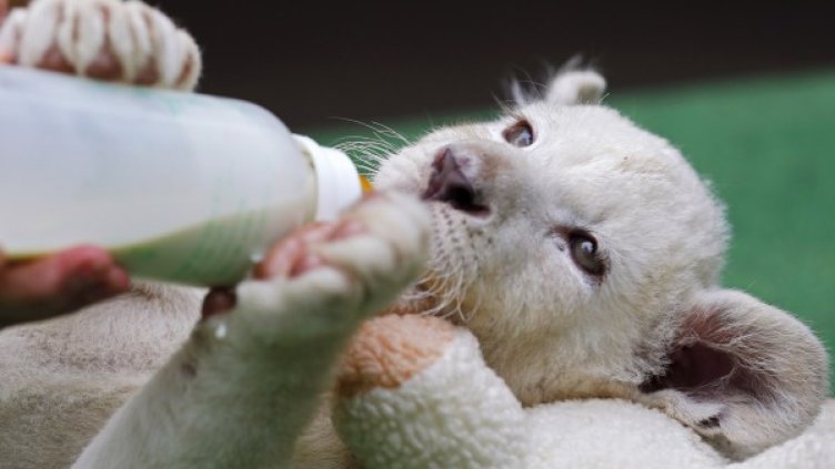 Снимка: Reuters