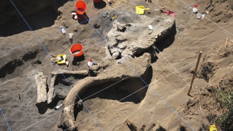 Снимка: Reuters