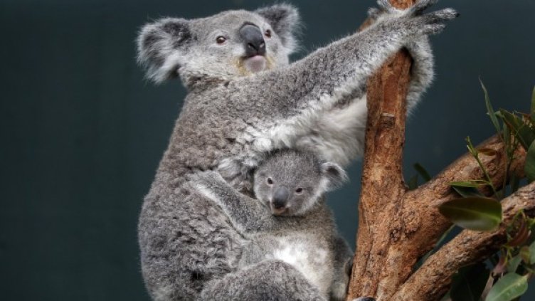 Снимка: Ройтерс