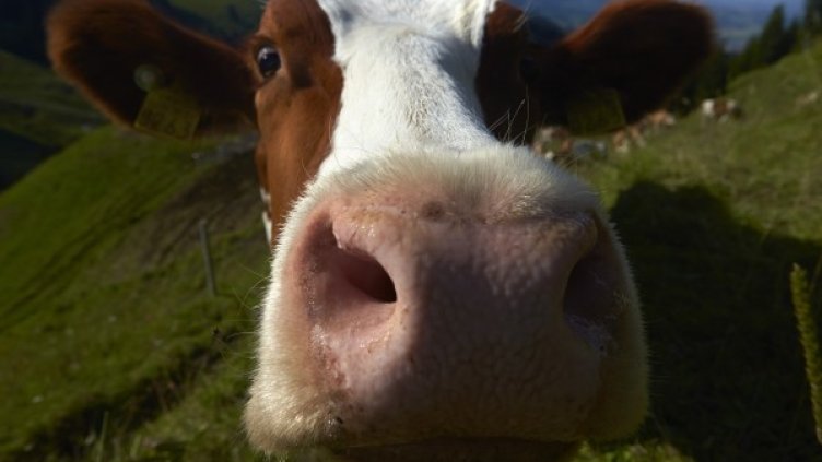 Снимка: Архив Reuters