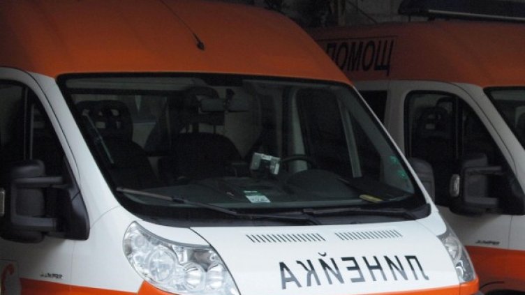 Снимка: архив,  Булфото