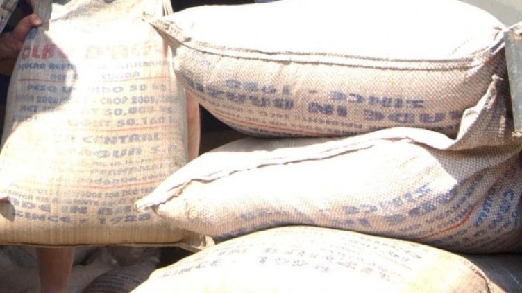 Снимка: архив, Impact Press Group