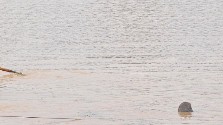 Снимка: архив, Булфото