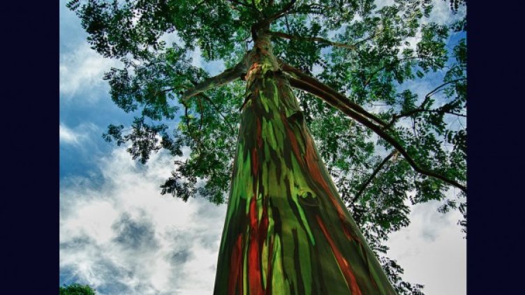 Снимка: lovethesepics.com