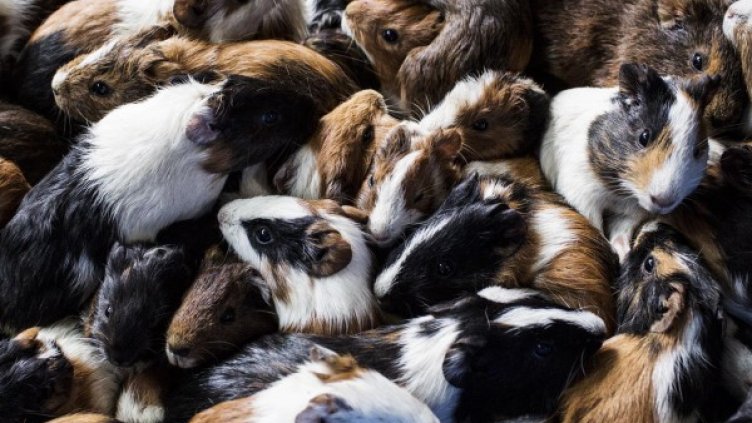 Снимка: Reuters