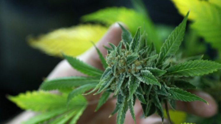 Снимка: Reuters, архив