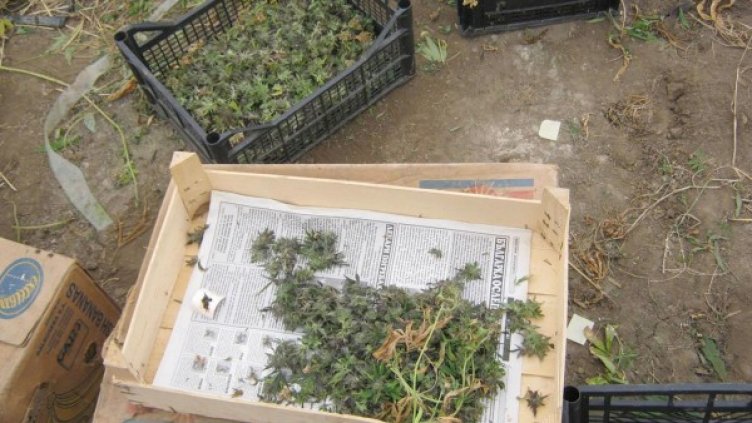 Снимка: Булфото, архив