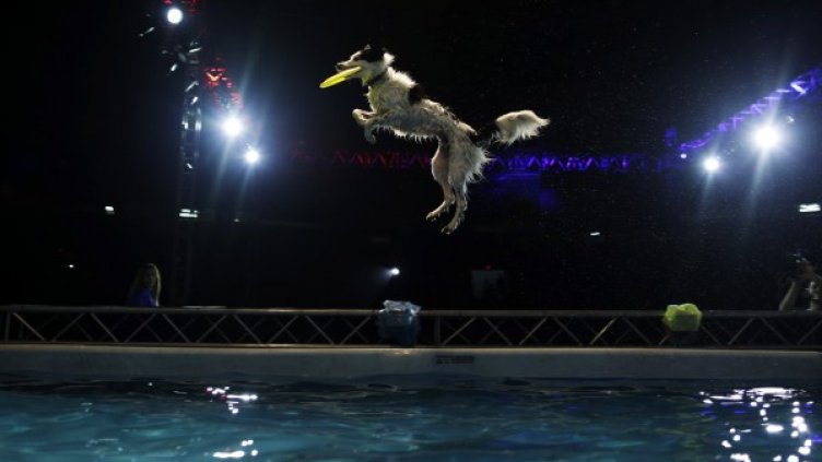 Снимка: Reuters