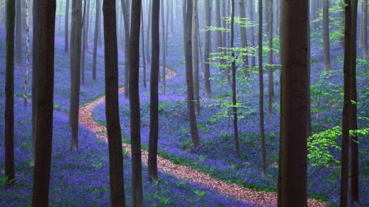 Снимка: atlasobscura.com