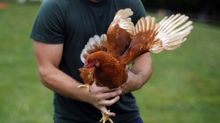 Снимка: Reuters