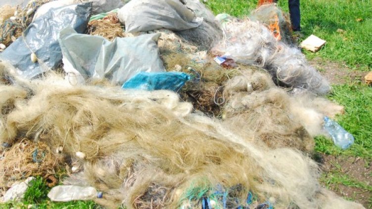 Снимка: Булфото