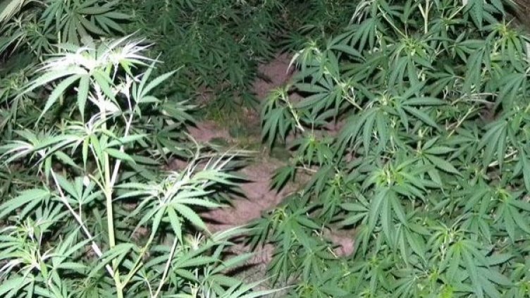 Снимка: архив, Булфото